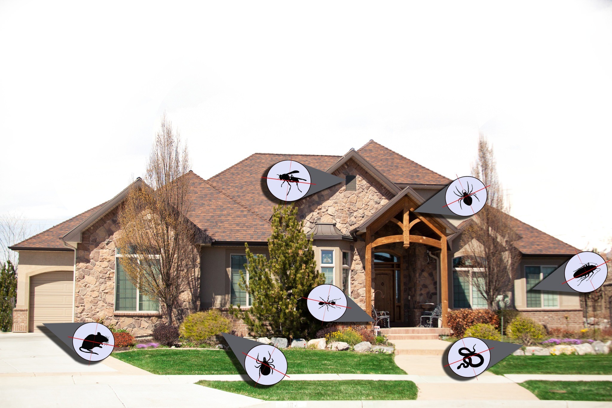 Affordable Pest control Services Bakersfield 